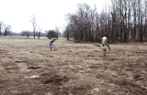 Planting trees for erosion control