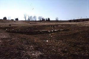 Rock check dam for erosion control