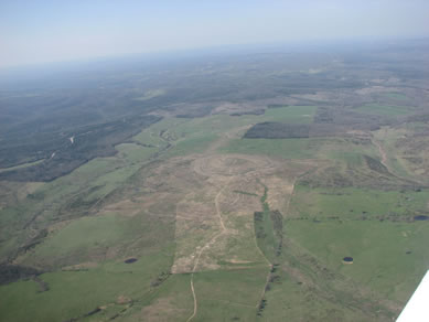 Areturn to native vegetation